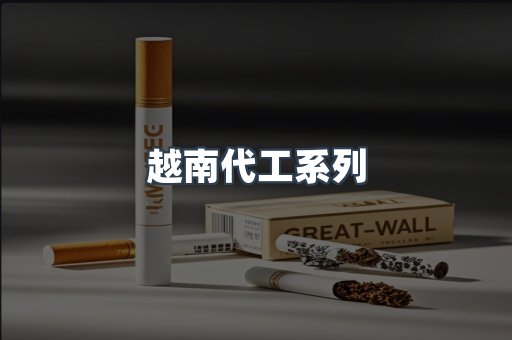 越南代工系列
